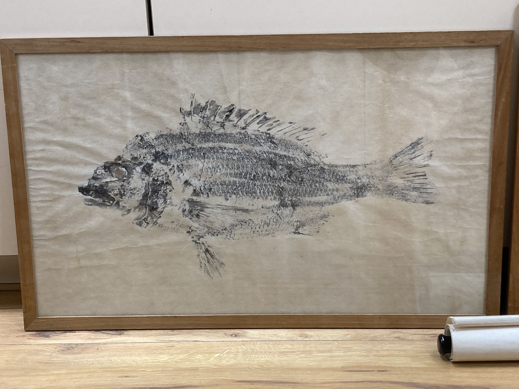 Two life size impressions of a Roach, caught by Mr Nakasaki, 1953, 41 x 73cm and 37 x 62cm, a Chinese scroll print and a woodblock prin